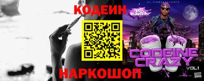 ешки Кингисепп