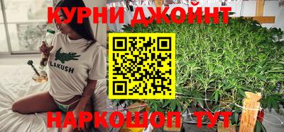ешки Кингисепп