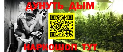 стафф Кинель