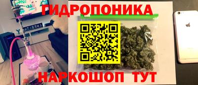 стафф Кинель
