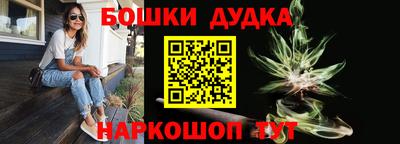 гидра Кимры