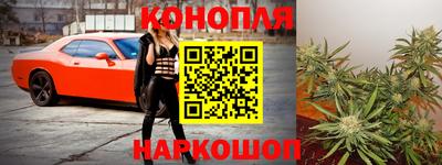 гидра Кимры