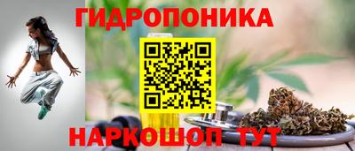 стафф Кинель