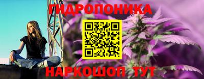ешки Кингисепп