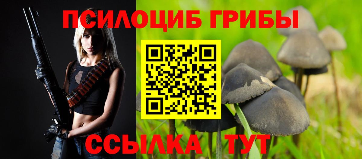 Псилоцибиновые грибы ЛСД  Псилоцибиновые грибы мицелий  Вход с VPN  Волжск 